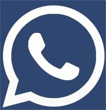 Chat on WhatsApp